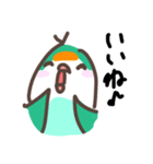 うちのインコ(ぴの，右京)（個別スタンプ：20）