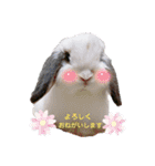 michochii 4（個別スタンプ：3）