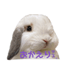 michochii 4（個別スタンプ：9）