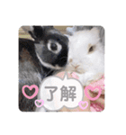 michochii 4（個別スタンプ：12）