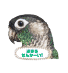 michochii 4（個別スタンプ：20）