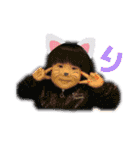 michochii 4（個別スタンプ：34）
