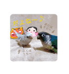 michochii 4（個別スタンプ：38）