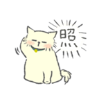 クリーム色のよい子 (ねこ)（個別スタンプ：11）