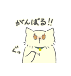 クリーム色のよい子 (ねこ)（個別スタンプ：19）