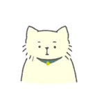 クリーム色のよい子 (ねこ)（個別スタンプ：37）