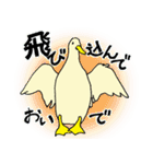 ぐうたらあひると、働く鴨（個別スタンプ：19）