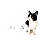 下僕の至福スタンプ（個別スタンプ：6）