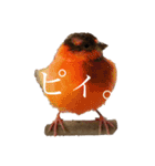 猫のしじみ1（個別スタンプ：9）