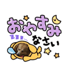 日常のももちゃんです（個別スタンプ：3）