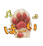 姫セン公式スタンプ White Lion ルイ（個別スタンプ：4）