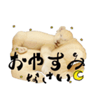 姫セン公式スタンプ White Lion ルイ（個別スタンプ：6）