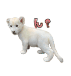 姫セン公式スタンプ White Lion ルイ（個別スタンプ：27）