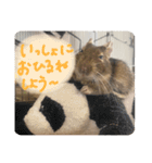 デグーのぐーちゃんです第2弾（個別スタンプ：15）