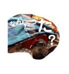 ちーず先生（個別スタンプ：8）