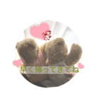 ぽぴ オリジナルスタンプ（個別スタンプ：5）