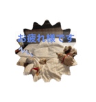 ぽぴ オリジナルスタンプ（個別スタンプ：13）
