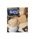 ぽぴ オリジナルスタンプ（個別スタンプ：18）