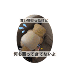 ぽぴ オリジナルスタンプ（個別スタンプ：21）