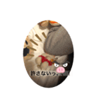 ぽぴ オリジナルスタンプ（個別スタンプ：24）