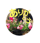 cafeLIFEの愉快な仲間たち（個別スタンプ：2）