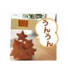 cafeLIFEの愉快な仲間たち（個別スタンプ：33）