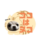 ココとチュラが代弁（個別スタンプ：7）