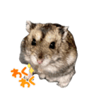 可愛いちび子達2！（個別スタンプ：4）