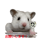 可愛いちび子達2！（個別スタンプ：5）