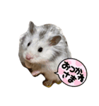 可愛いちび子達2！（個別スタンプ：6）