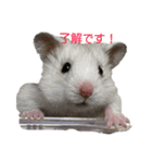 可愛いちび子達2！（個別スタンプ：7）