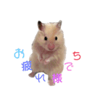 可愛いちび子達2！（個別スタンプ：11）