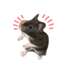 可愛いちび子達2！（個別スタンプ：14）