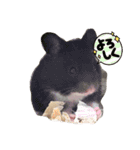 可愛いちび子達2！（個別スタンプ：15）