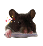 可愛いちび子達2！（個別スタンプ：16）