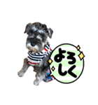小ちゃいカールみぃ〜つけた！（個別スタンプ：12）