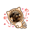 小ちゃいカールみぃ〜つけた！（個別スタンプ：15）