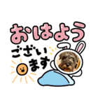 小ちゃいカールみぃ〜つけた！（個別スタンプ：16）