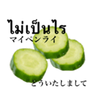 きゅうりです キュウリ 野菜 タイ語（個別スタンプ：5）