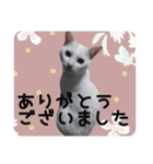 うちの子よその子（よその子バージョン2）（個別スタンプ：1）