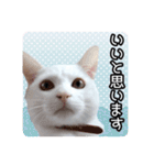 うちの子よその子（よその子バージョン2）（個別スタンプ：3）