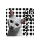 うちの子よその子（よその子バージョン2）（個別スタンプ：5）