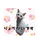 うちの子よその子（よその子バージョン2）（個別スタンプ：9）