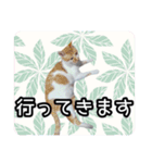 うちの子よその子（よその子バージョン2）（個別スタンプ：12）