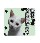 うちの子よその子（よその子バージョン2）（個別スタンプ：13）