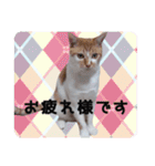 うちの子よその子（よその子バージョン2）（個別スタンプ：14）