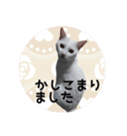 うちの子よその子（よその子バージョン2）（個別スタンプ：15）