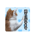 うちの子よその子（よその子バージョン2）（個別スタンプ：16）