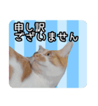 うちの子よその子（よその子バージョン2）（個別スタンプ：22）