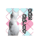 うちの子よその子（よその子バージョン2）（個別スタンプ：23）